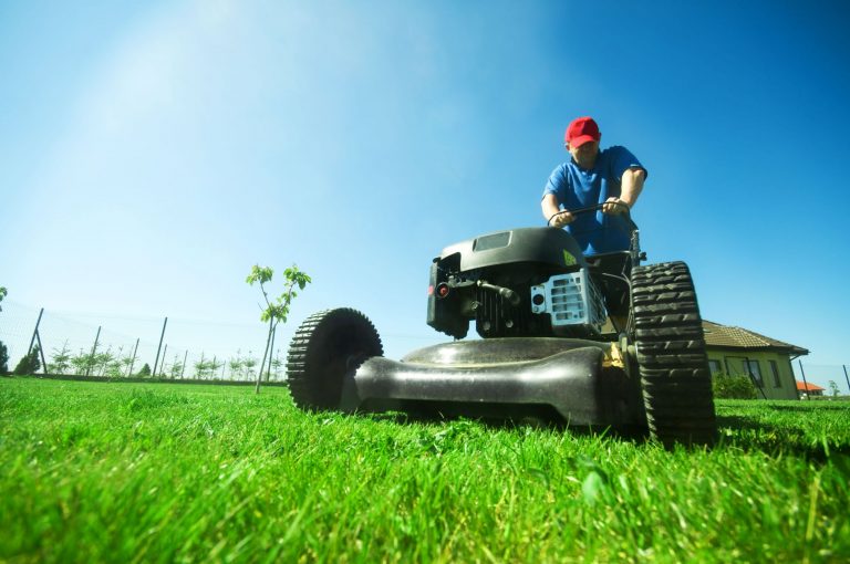 Transform Your Yard with Professional Lawn Care Companies Near Fort Lupton CO for Lasting Curb Appeal