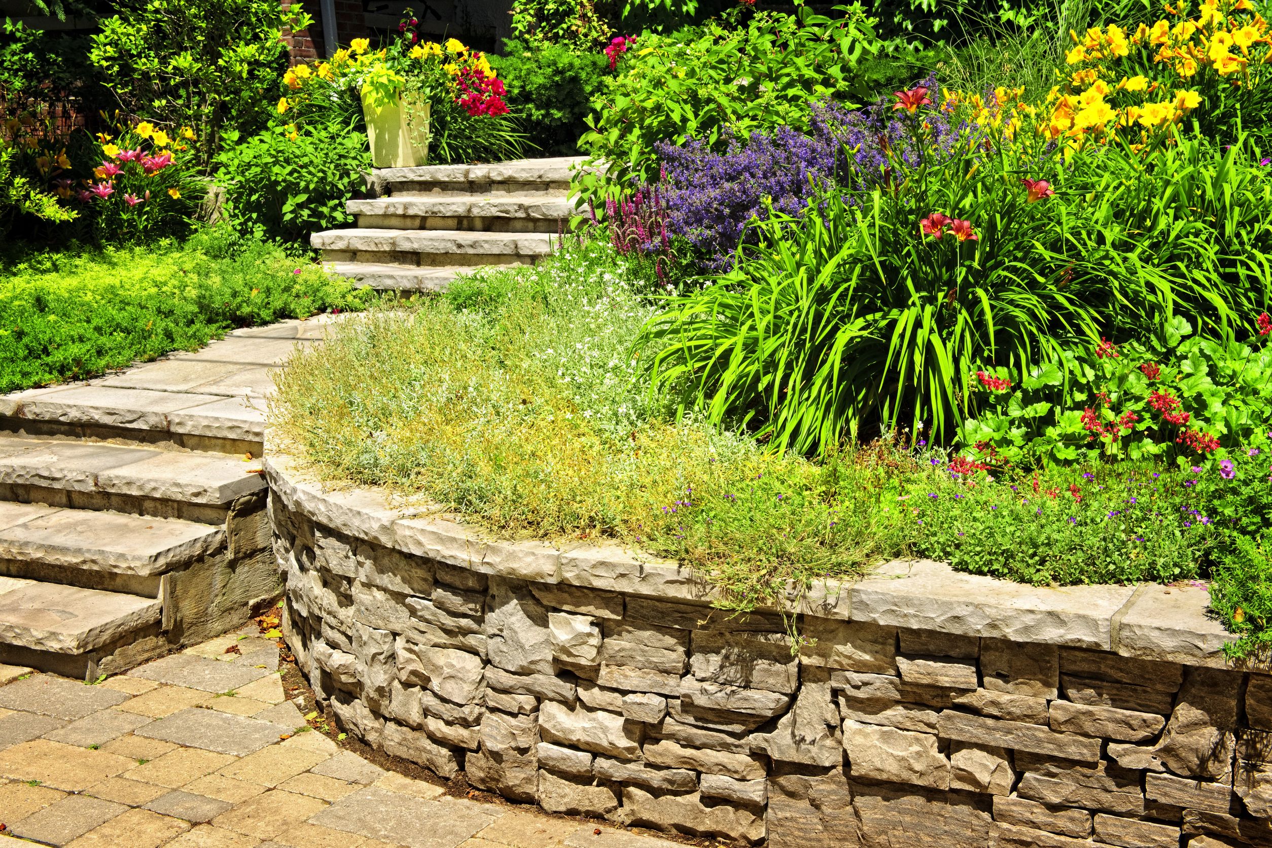 Transform Your Outdoor Space with Expert Landscape Design in Venice FL