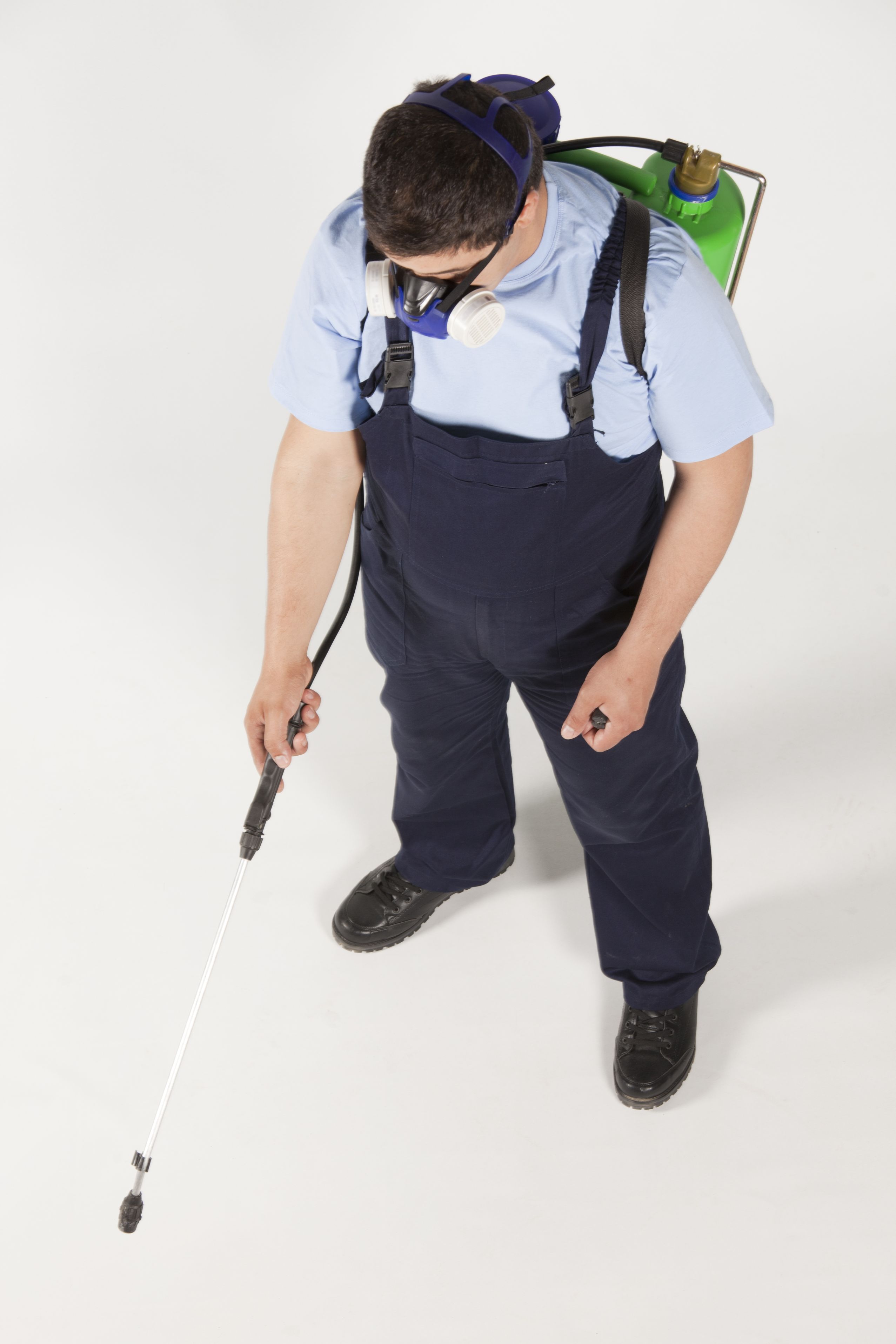 Protect Your Home From Infestations With Termite Control in Peachtree City, GA Solutions