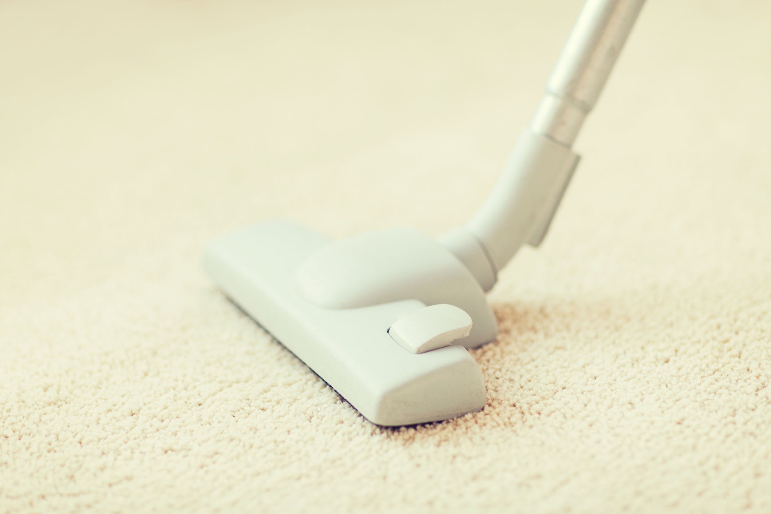 Hire Rug Cleaning Services in Naples, FL