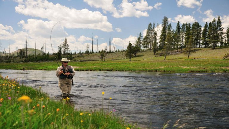 Cast Away in Style with Delta Fishing in Oakley, CA: Where Scenic Waters Meet the Ultimate Fishing Adventure