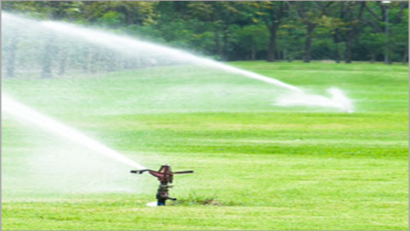 Your Property Shines When Choosing a Lawn Maintenance Company in Reading, PA, for Reliable Service