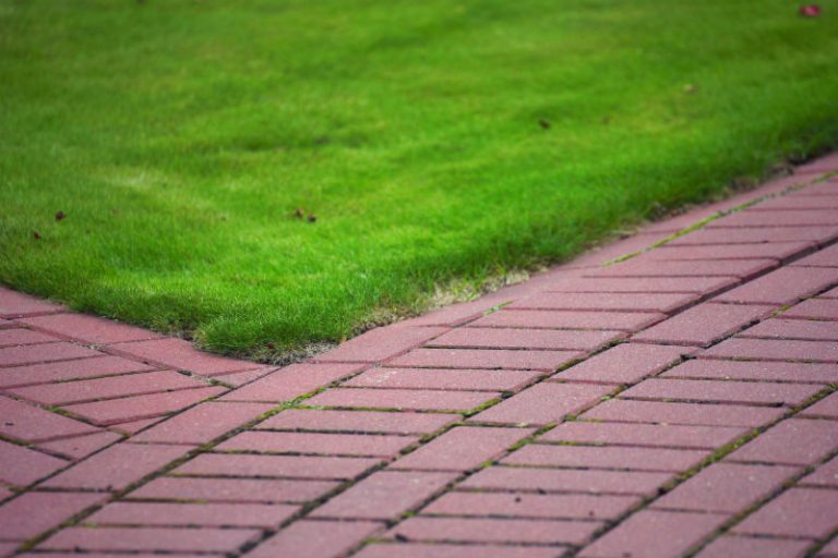 Transform Outdoor Living Spaces With a Trusted Paver Contractor Land O Lakes FL Team