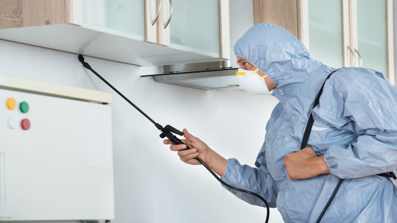 Protecting Homes, One Treatment at a Time: Reliable Pest Control Services in Roseville, CA