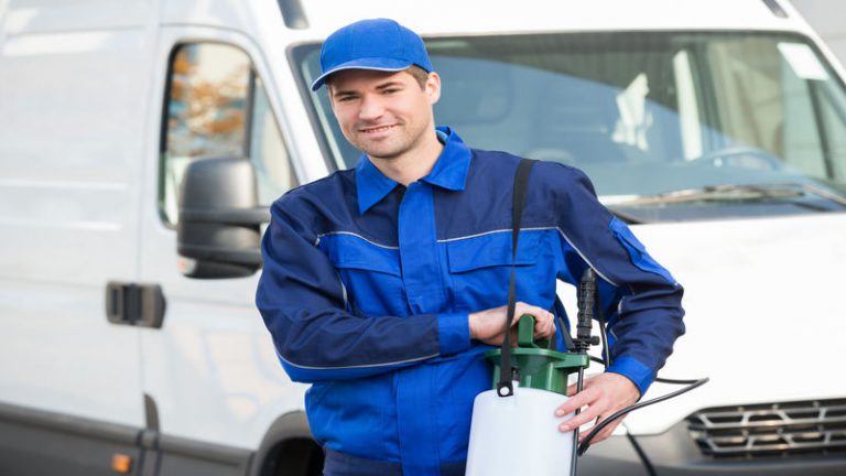 Common Signs You Need Pest Extermination Morristown TN Property Owners Should Know