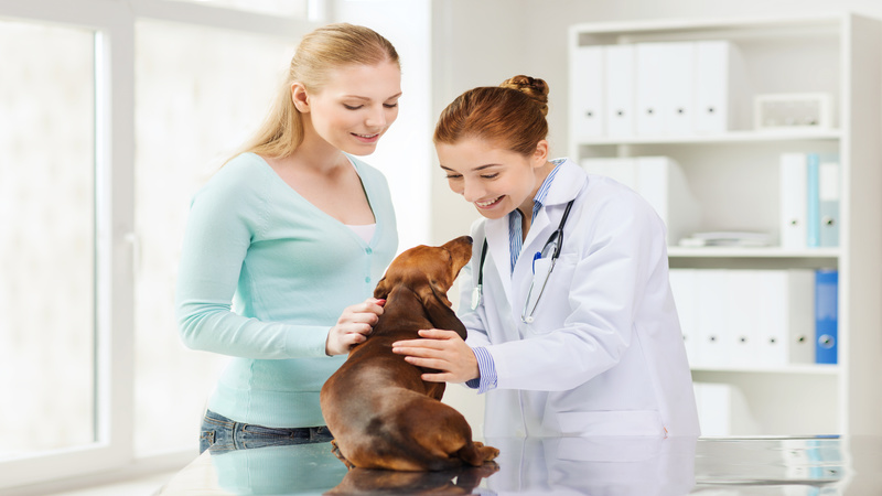 You Can Depend On The Best Animal Hospital In Louisville, KY.