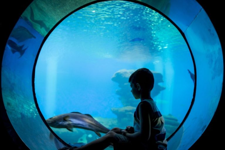 Plan a Group Visit in Miami and Discover Endless Adventures