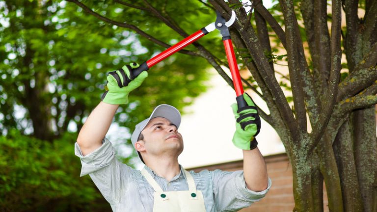 Why Choosing a Reliable Excavation Service in Sandpoint, ID, is Crucial for Your Project’s Success
