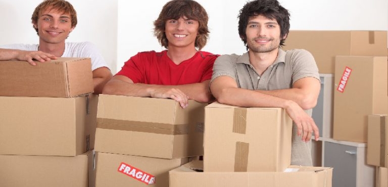 Looking for Professional Relocation Companies