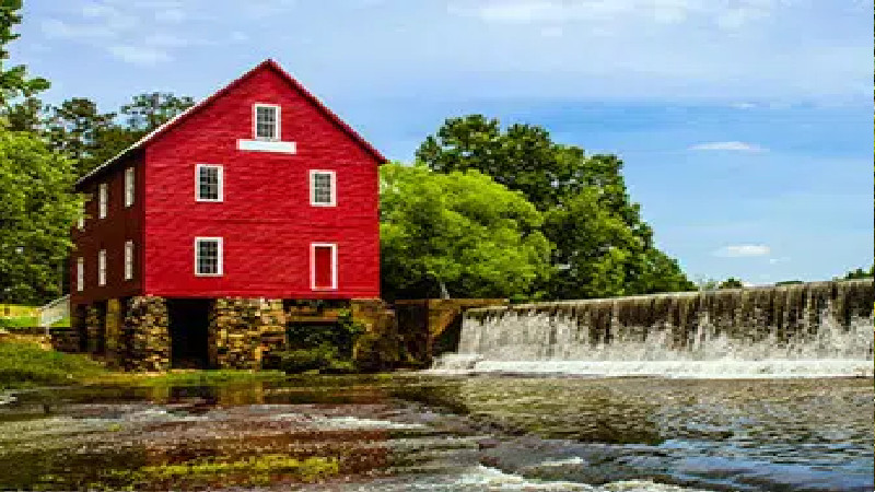 TreeGuy_Fayetteville_Homepage_Mockup_03(1)