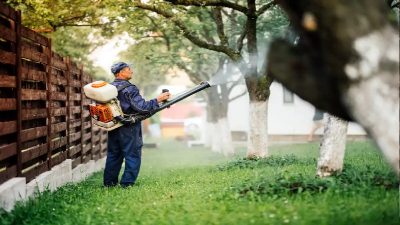 Affordable Lawn Care in Jeffersonville, IN, Is a Must