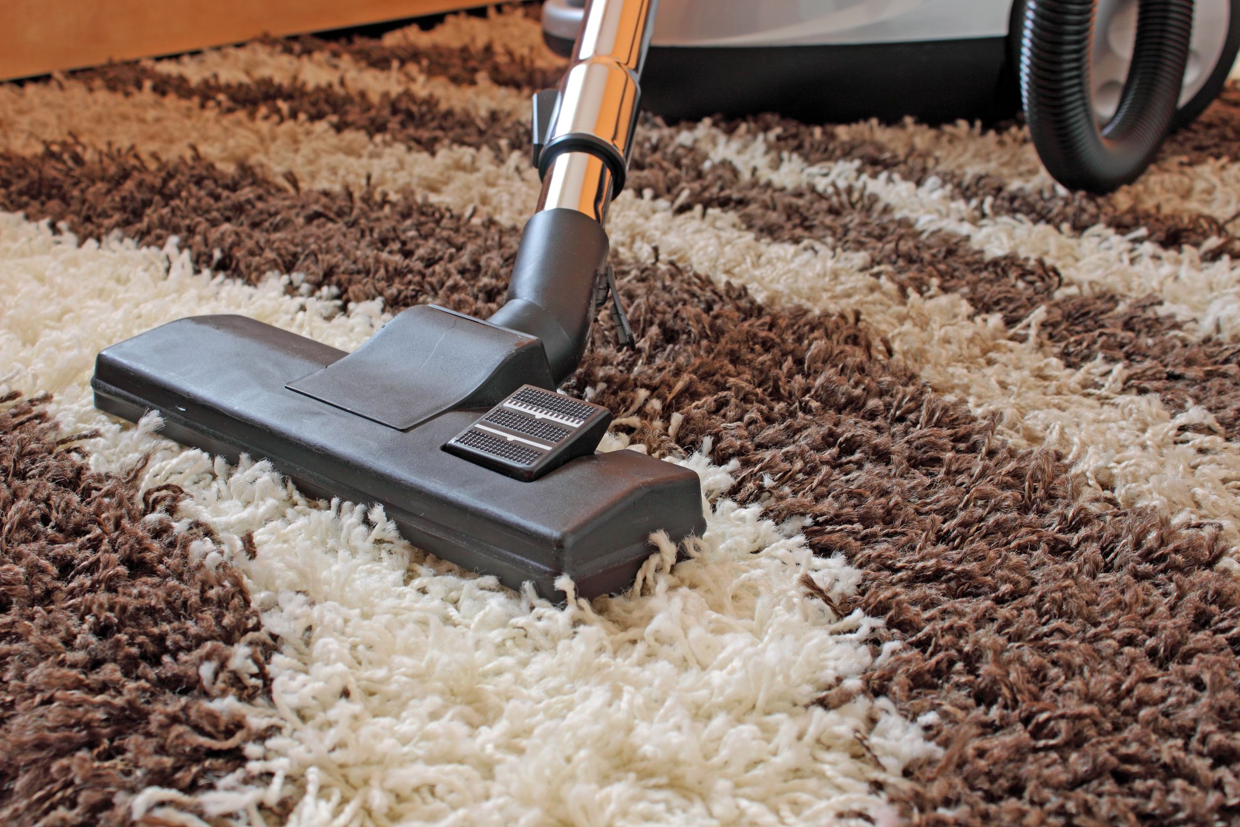 Why You Should Hire a Carpet Cleaner in Rochester, NY.