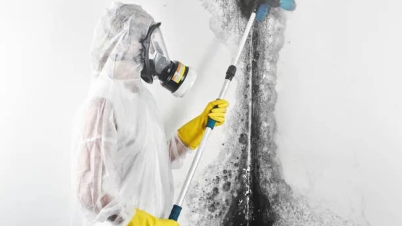 The Best Sewer Backup Cleanup in Denver, CO, Is Always Offered by the Experts