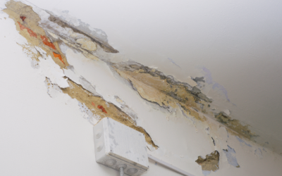 The Unsung Heroes: Water Damage Cleanup Services in Denver, CO