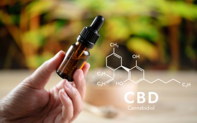 Why You Need an Experienced Firm for Cannabis Internet Marketing in Arizona