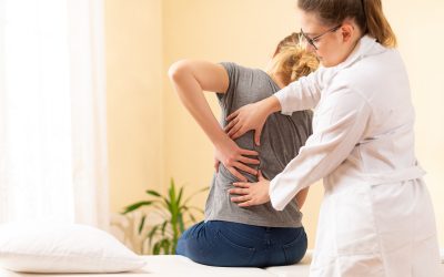 Healing For The Whole Family: Chiropractic Services in Coolum Beach QLD