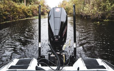 Signs of the Best Fishing Guide Near Minnesota