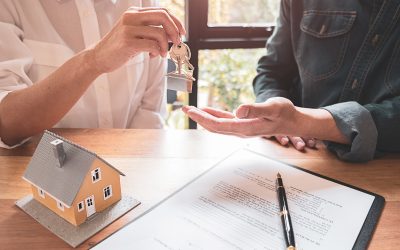 Reasons Why You Should Consider Hiring a Mold Test Company