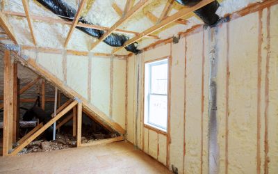 Safe and Humane Solutions for Raccoon Removal From Attic Jackson Township, NJ Homes