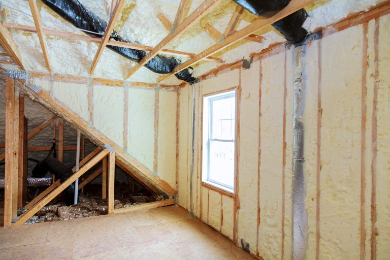 Safe and Humane Solutions for Raccoon Removal From Attic Jackson Township, NJ Homes