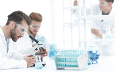 Understanding the 5-Panel Hair Follicle Drug Test