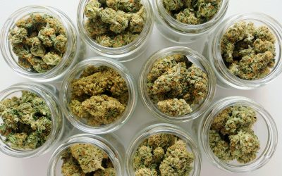 Exploring Weed Tincture in Spokane, WA