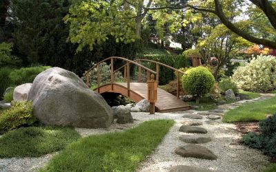 Ideas for Landscape Design in Charlotte NC