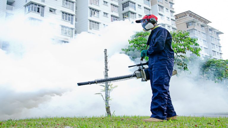 Enjoy the Summer With Help From Mosquito Control Services in Naples FL