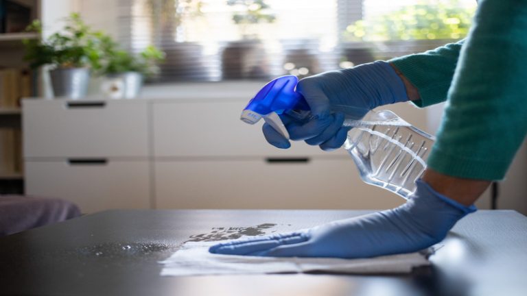 Sparkling Homes: Best House Cleaning Services in Hampton, GA