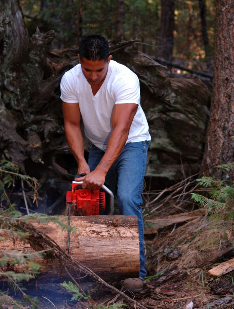 Improve the Health and Beauty of Your Trees: Expert Tree Trimming Services in Madison, WI
