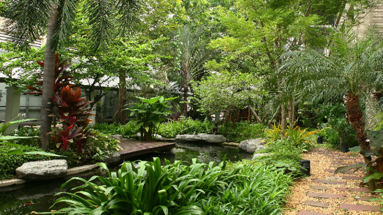 Expert Tree & Shrub Service in Shelbyville KY: Enhance Your Landscape