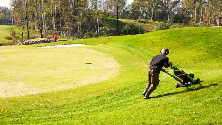 Best Lawn Treatment Services in Gainesville VA for a Lush Yard