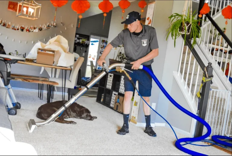 Ultimate Guide to Upholstery Cleaning in Westminster, CO: Tips & Tricks
