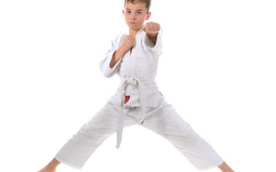 Ready to Break a Sweat, Sharpen Your Mind, and Build Confidence? Try Martial Arts for Adults in Wellington, CO, Today