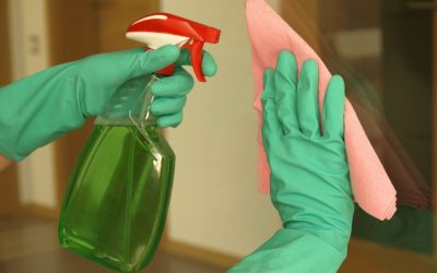 Professional Maid Service in The Woodlands: A Guide to Effortless Cleaning