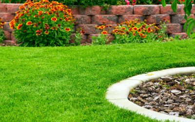 Landscape Contractors in Menifee, CA Can Increase Curb Appeal