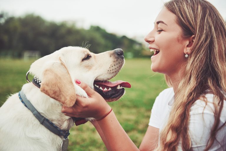 How to Teach Your Puppy Calm Behavior Around Guests