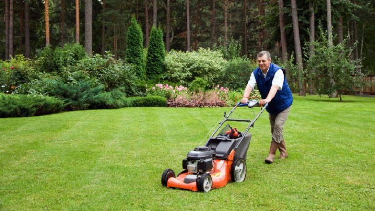 Beautify Your Sanctuary with Sanford FL Residential Landscaping Services