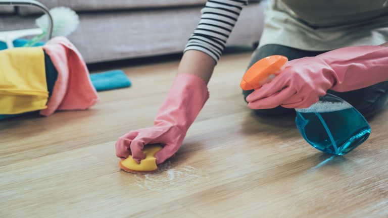 Maid Services Fort Myers FL Enhance Your Home’s Cleanliness With Trusted Local Experts