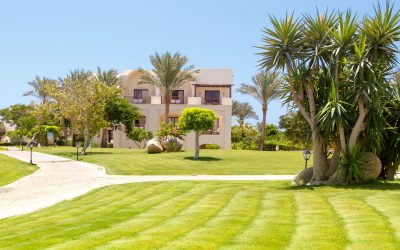 Transform Your Outdoor Space with Landscaping Design Aurora CO Experts