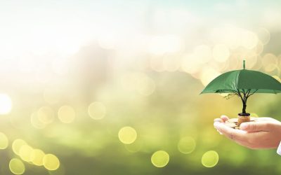 Many families benefit when you choose to donate money for health in India’s rural areas