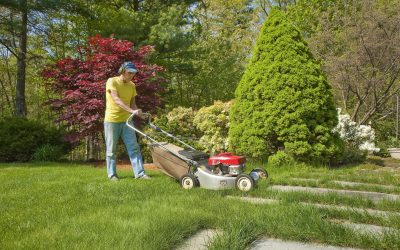 Achieve Your Dream Garden Oasis Through Custom Landscape Design In Fresno CA