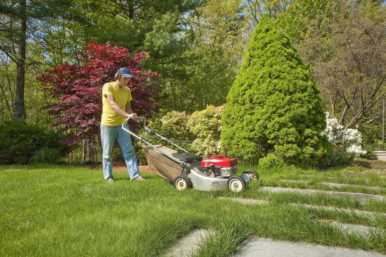 Achieve Your Dream Garden Oasis Through Custom Landscape Design In Fresno CA