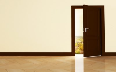 Glass or No Glass? Choosing the Right Front Door for Privacy & Style