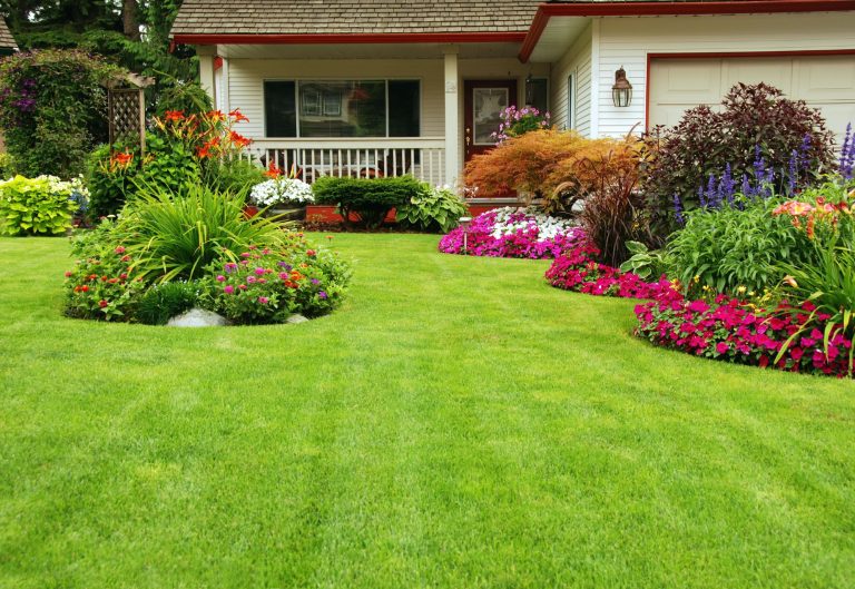 Landscape Renovation Plymouth MN: Ideas for a Relaxing Outdoor Retreat