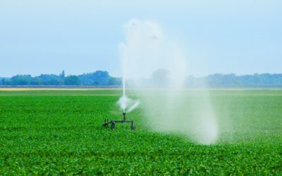 Unmatched Solutions for Irrigation Sprinkler Repair In Colorado Springs, CO Homeowners Appreciate