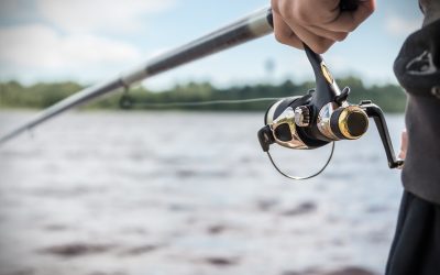 Exploring the Best Fishing Tackle for Freshwater Shallow Lakes and Ponds in Tampa, FL