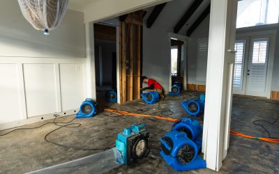 How to Prevent Laminate Flooring Water Damage in Newnan GA: Essential Homeowner Tips