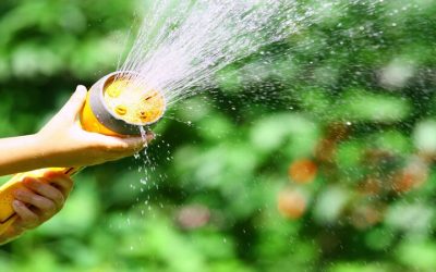 Protect Your Home with Residential Sprinkler Installation Rhode Island Homeowners Trust