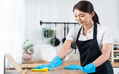 Experience Pristine Living with House Cleaning Services In Pittsburgh, PA, for a Healthier Home